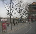 Beijing (651)